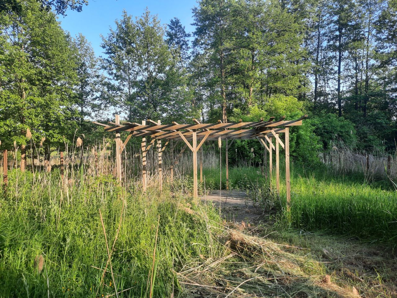 Działka rekreacyjna Minikowo. Zdjęcie 6