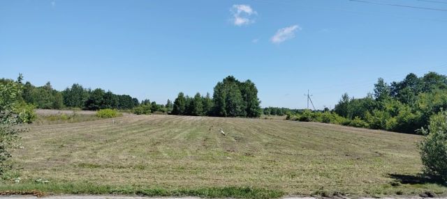 Działka budowlana Czarna Kolonia. Zdjęcie 1