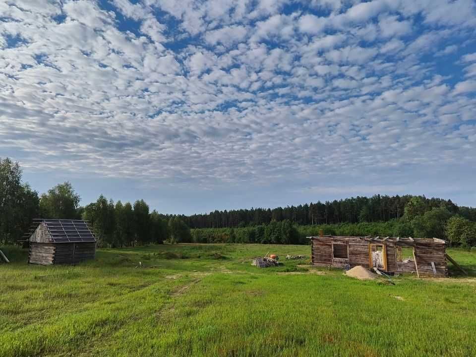 Działka siedliskowa Miłowo. Zdjęcie 7