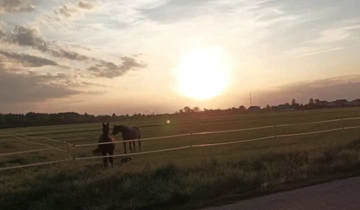 Działka budowlana Kotórz Mały, ul. Zielona