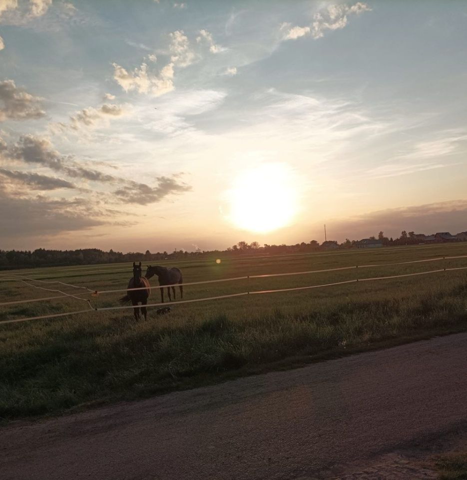 Działka budowlana Kotórz Mały, ul. Zielona. Zdjęcie 1
