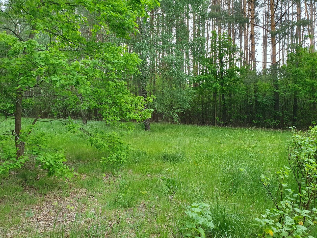 Działka budowlana Otwock Wólka Mlądzka, ul. Wspaniała. Zdjęcie 6