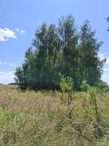 Działka rolno-budowlana Stara Wieś-Kolonia. Zdjęcie 4