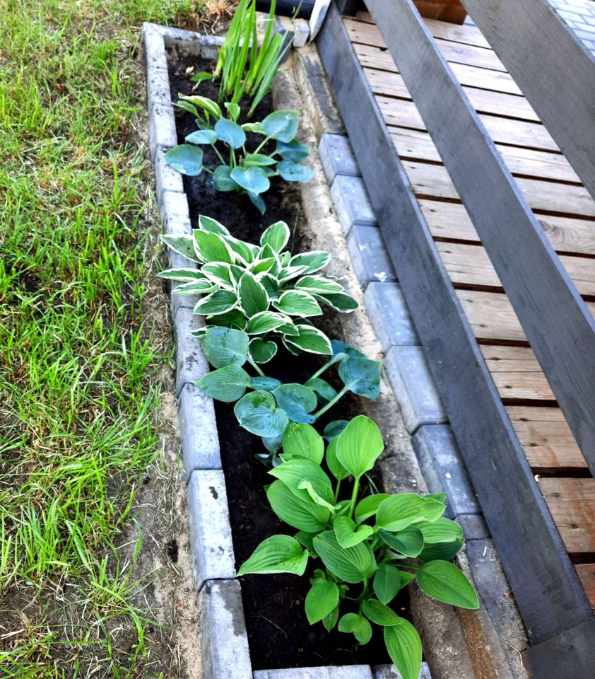 Działka rod Łódź Polesie, ul. Drewnowska. Zdjęcie 2