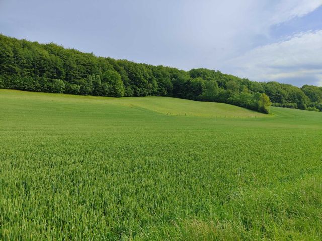 Działka budowlana Sławki, ul. Tarasowa. Zdjęcie 1