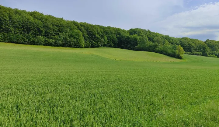 Działka budowlana Sławki, ul. Tarasowa