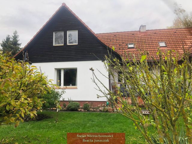 bliźniak Święta Katarzyna. Zdjęcie 8