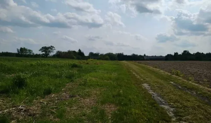 Działka rolno-budowlana Leśniczówka