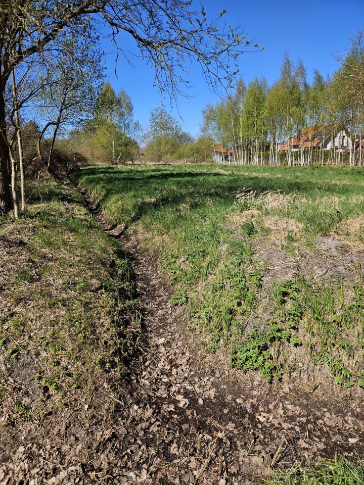 Działka budowlana Trzebież, ul. Brzozowa. Zdjęcie 3