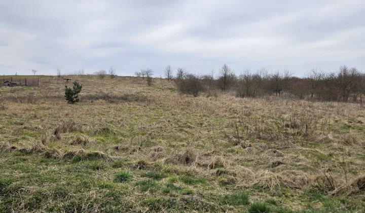 Działka budowlana Gostchorze