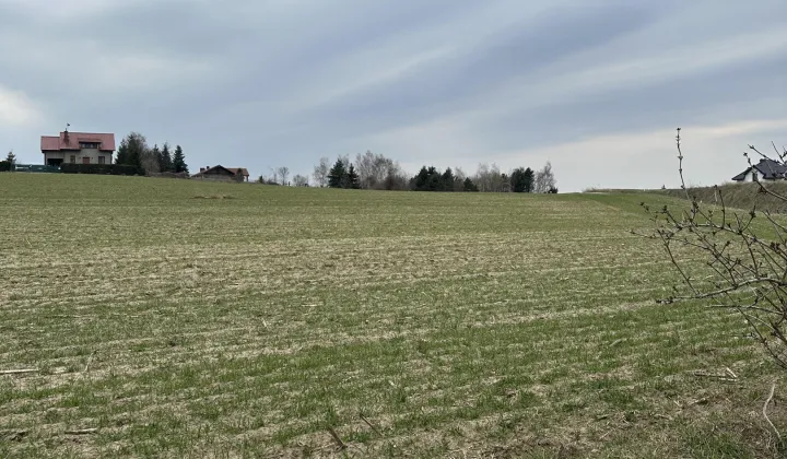 Działka rolna Powidz, ul. Widokowa