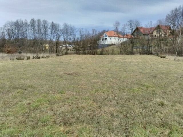 Działka rolno-budowlana Krzywaczka. Zdjęcie 1