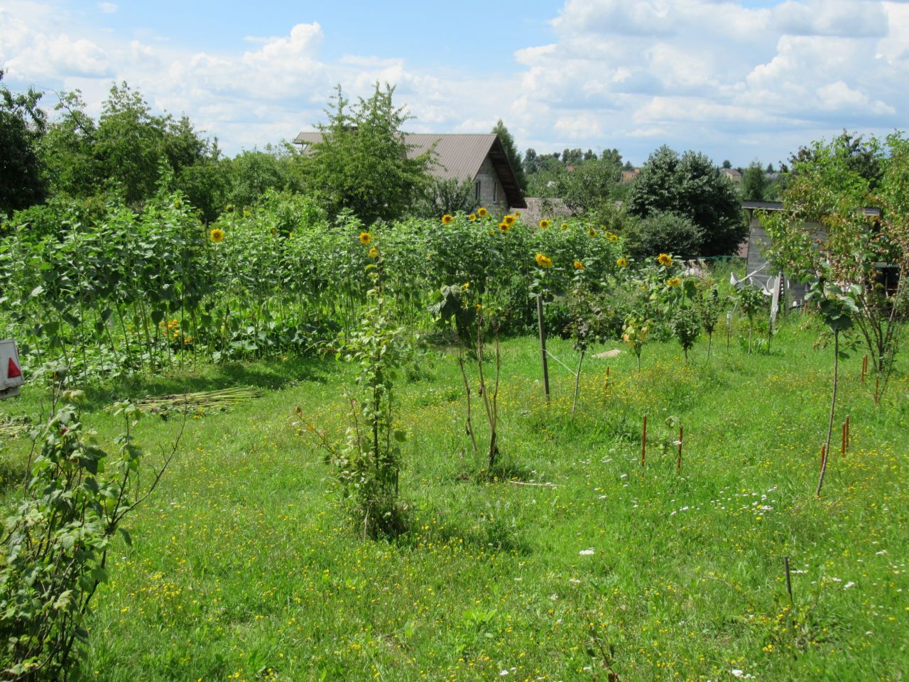 Działka rolno-budowlana Kleszczów. Zdjęcie 3