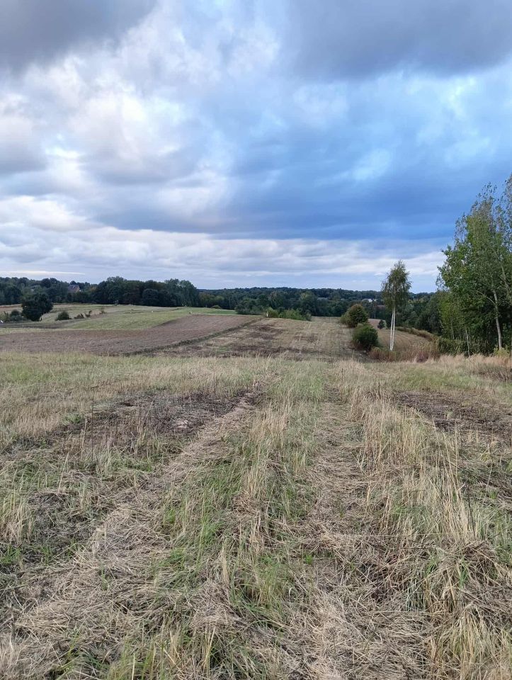 Działka rolno-budowlana Las Stocki. Zdjęcie 6