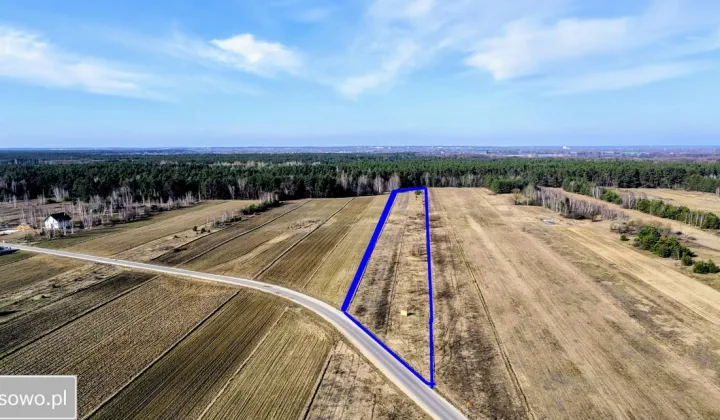 Działka rolna Jesionka, ul. Jesionowa