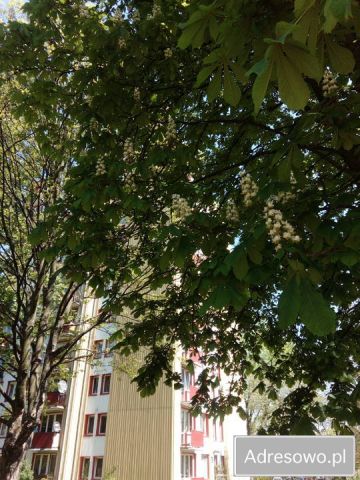 Mieszkanie 3-pokojowe Lublin LSM, ul. Bolesława Chrobrego. Zdjęcie 1