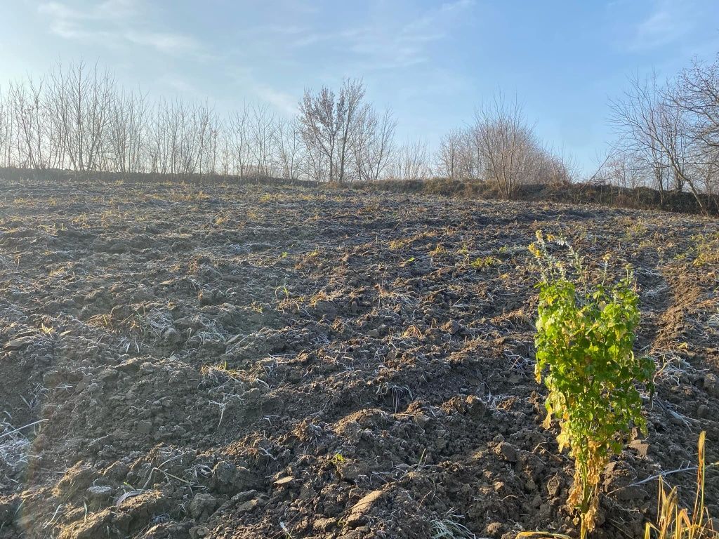 Działka rolno-budowlana Skalbmierz. Zdjęcie 4