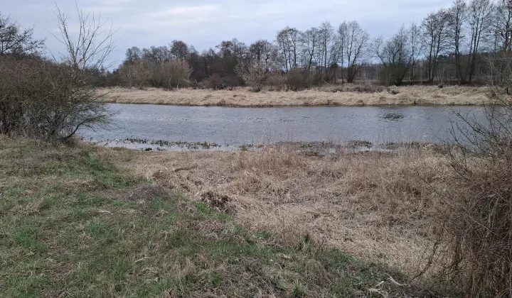 Działka rolna Krajęczyn