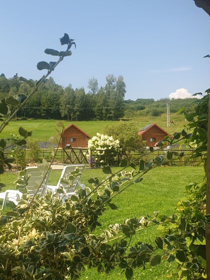 Działka siedliskowa Wańkowa. Zdjęcie 6