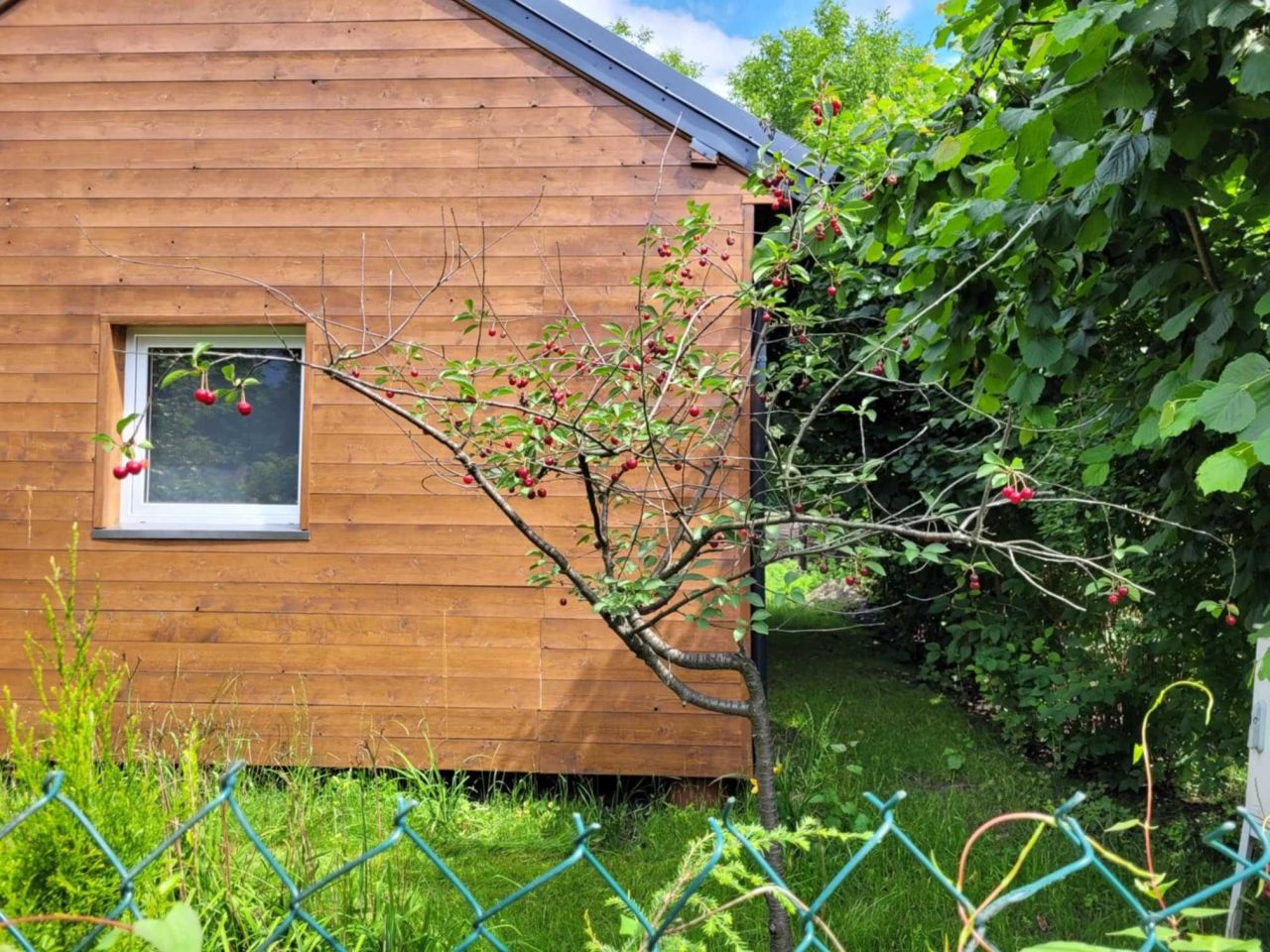 Działka rod Warszawa Ochota, ul. Grójecka. Zdjęcie 6