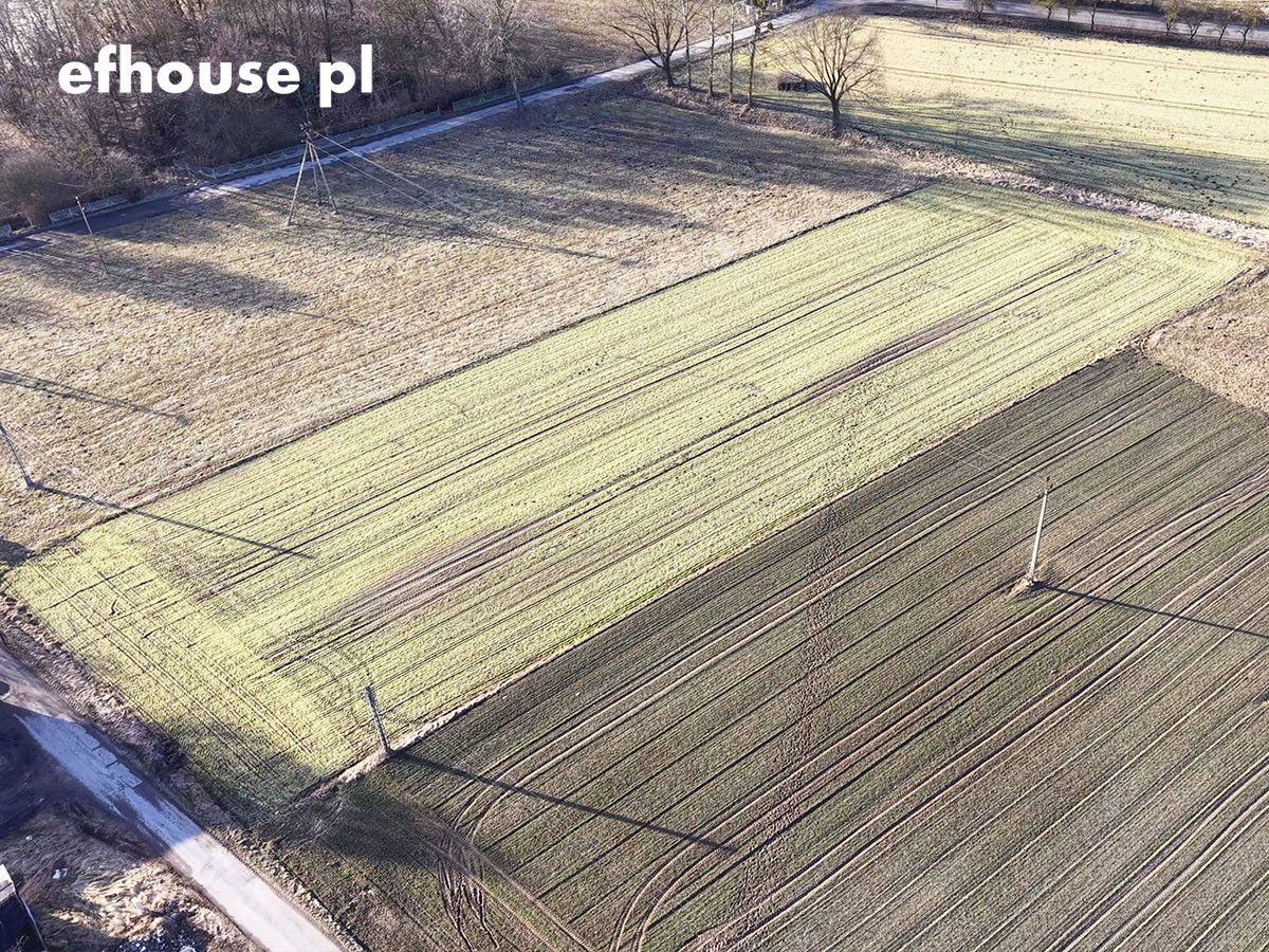 Działka budowlana Szczepanowo. Zdjęcie 2