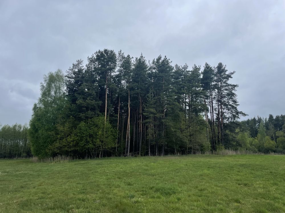 Działka Lipińskie Małe. Zdjęcie 3
