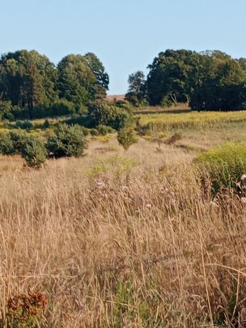 Działka rolno-budowlana Podlesie Łazy. Zdjęcie 1