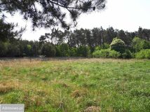 Działka budowlana Wójcice. Zdjęcie 3