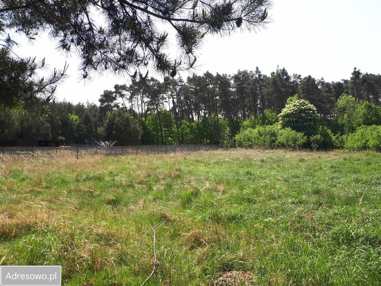 Działka budowlana Wójcice. Zdjęcie 4