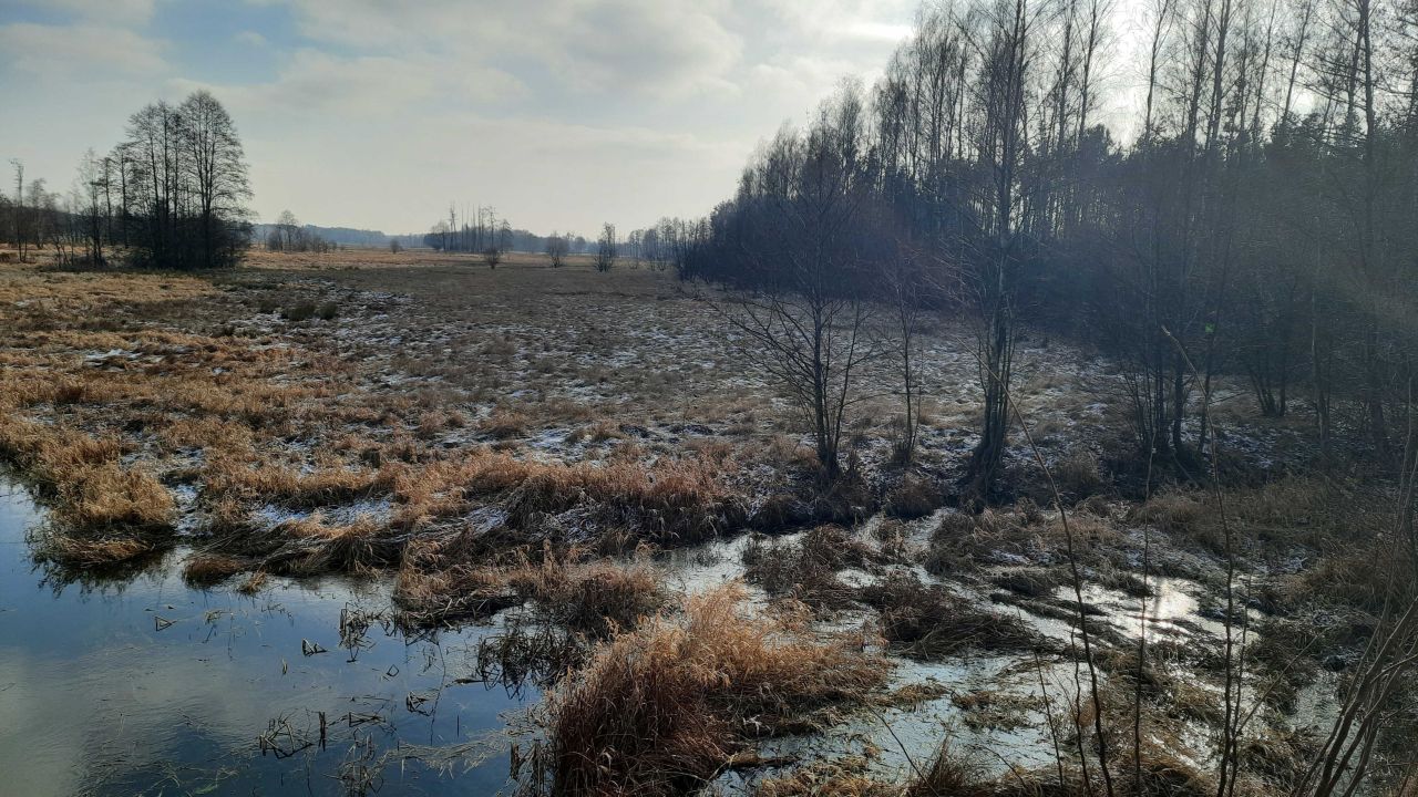 Działka rolna Stupniki. Zdjęcie 6