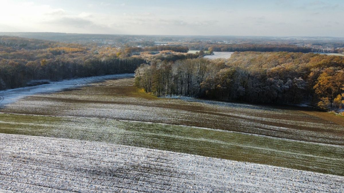 Działka inwestycyjna Prusice. Zdjęcie 8
