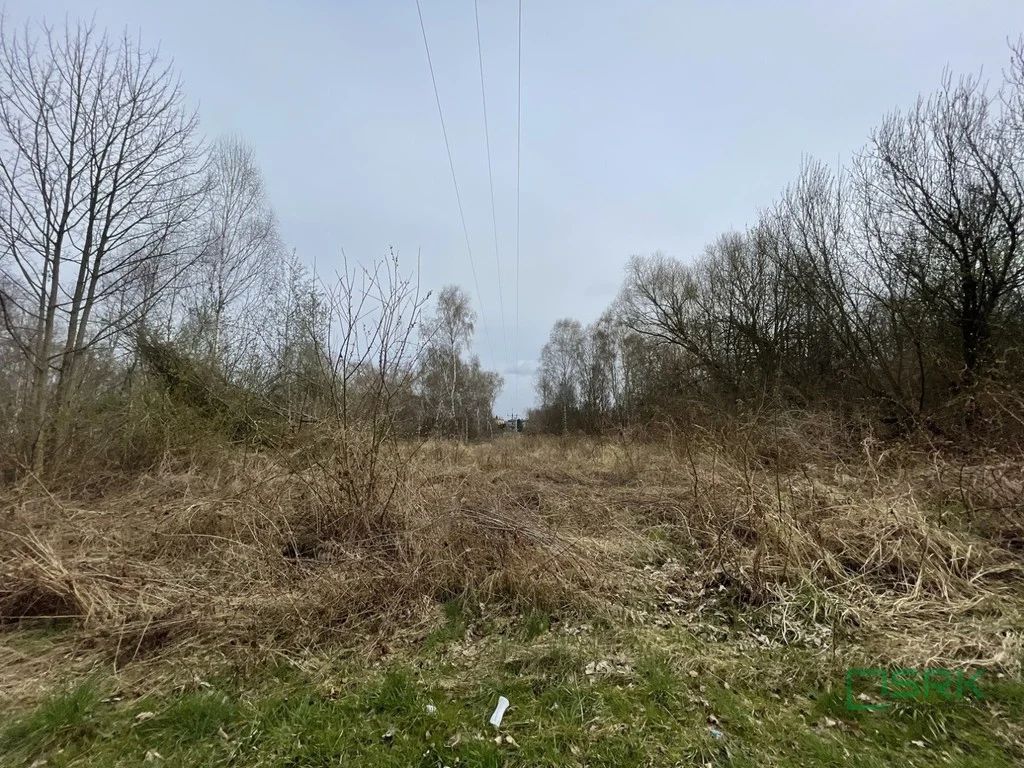 Działka budowlana Rybnik Niedobczyce, ul. Ludwika Zamenhofa. Zdjęcie 3