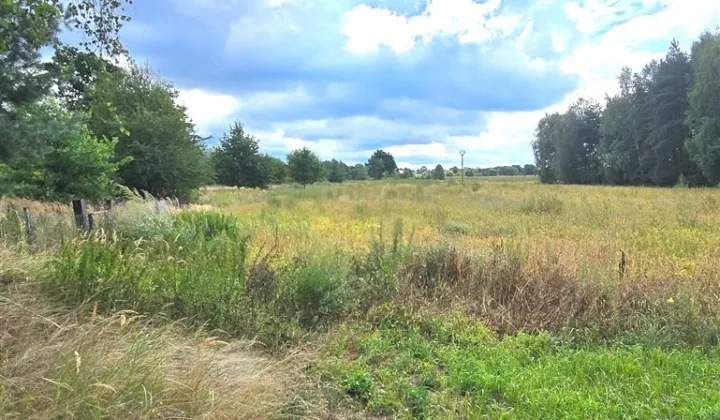 Działka budowlana Chełm Śląski, ul. Głogowa