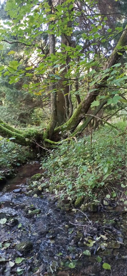 Działka siedliskowa Ludwikowice Kłodzkie Sowina, ul. Kopalniana. Zdjęcie 3