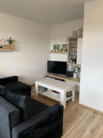 Mieszkanie 1-pokojowe Szczecin Centrum, ul. Gontyny. Zdjęcie 1