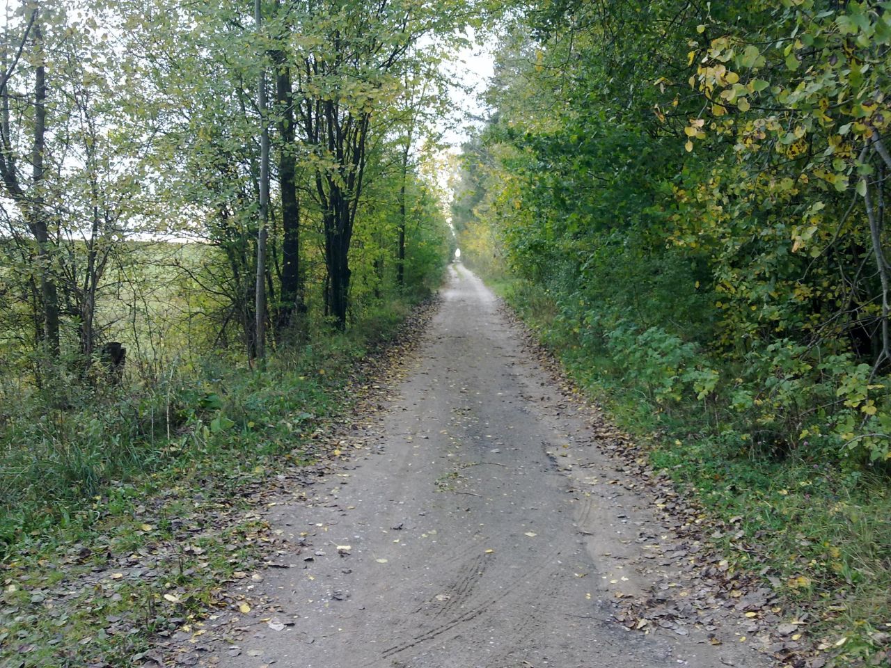 Działka budowlana Nowe Kiejkuty. Zdjęcie 8