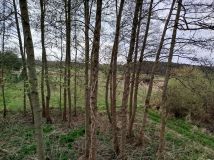 Działka budowlana Chojno-Wieś. Zdjęcie 3