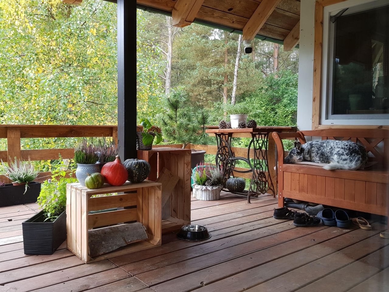 dom wolnostojący, 5 pokoi Nowy Wiec. Zdjęcie 2