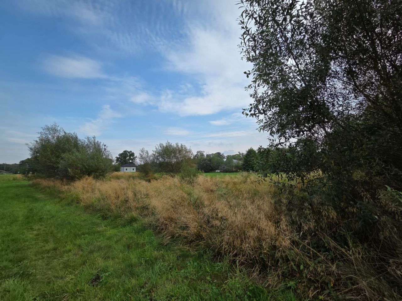 Działka rekreacyjna Trojanów. Zdjęcie 6