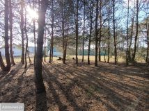 Działka budowlana Gronów. Zdjęcie 1