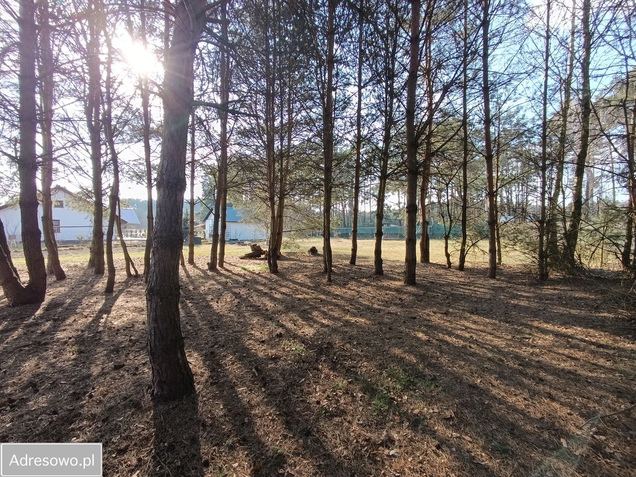 Działka budowlana Gronów. Zdjęcie 2