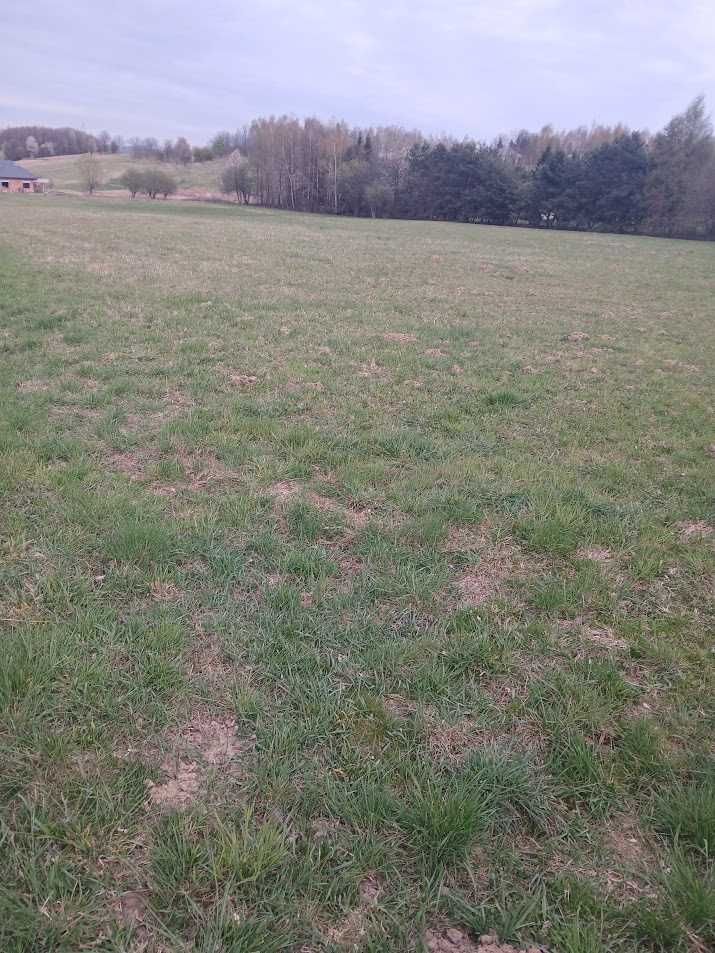 Działka budowlana Trąbki. Zdjęcie 3