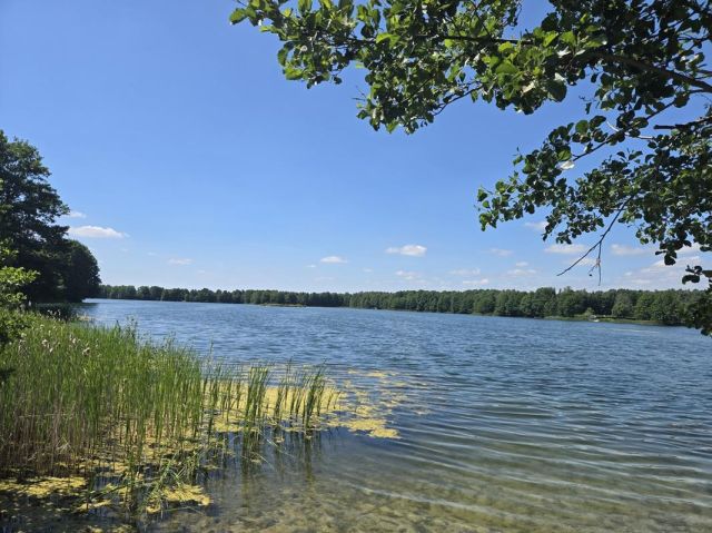 Działka budowlana Dąb Polski, ul. Liliowa. Zdjęcie 27