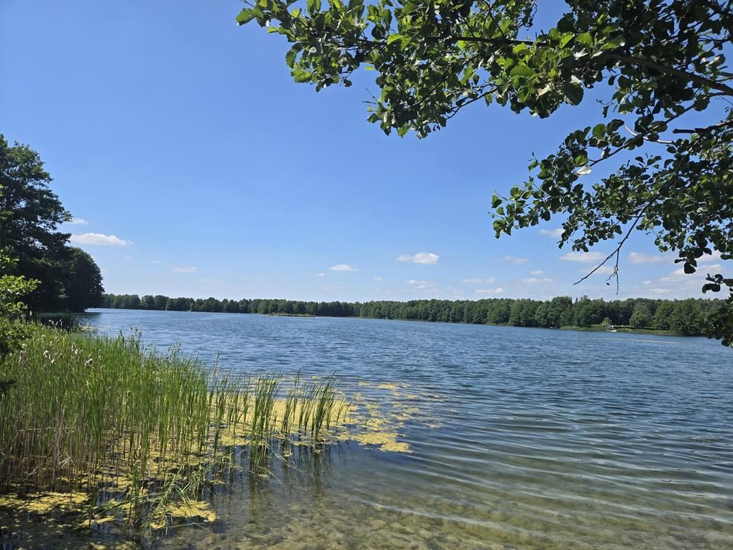 Działka budowlana Dąb Polski, ul. Liliowa. Zdjęcie 27