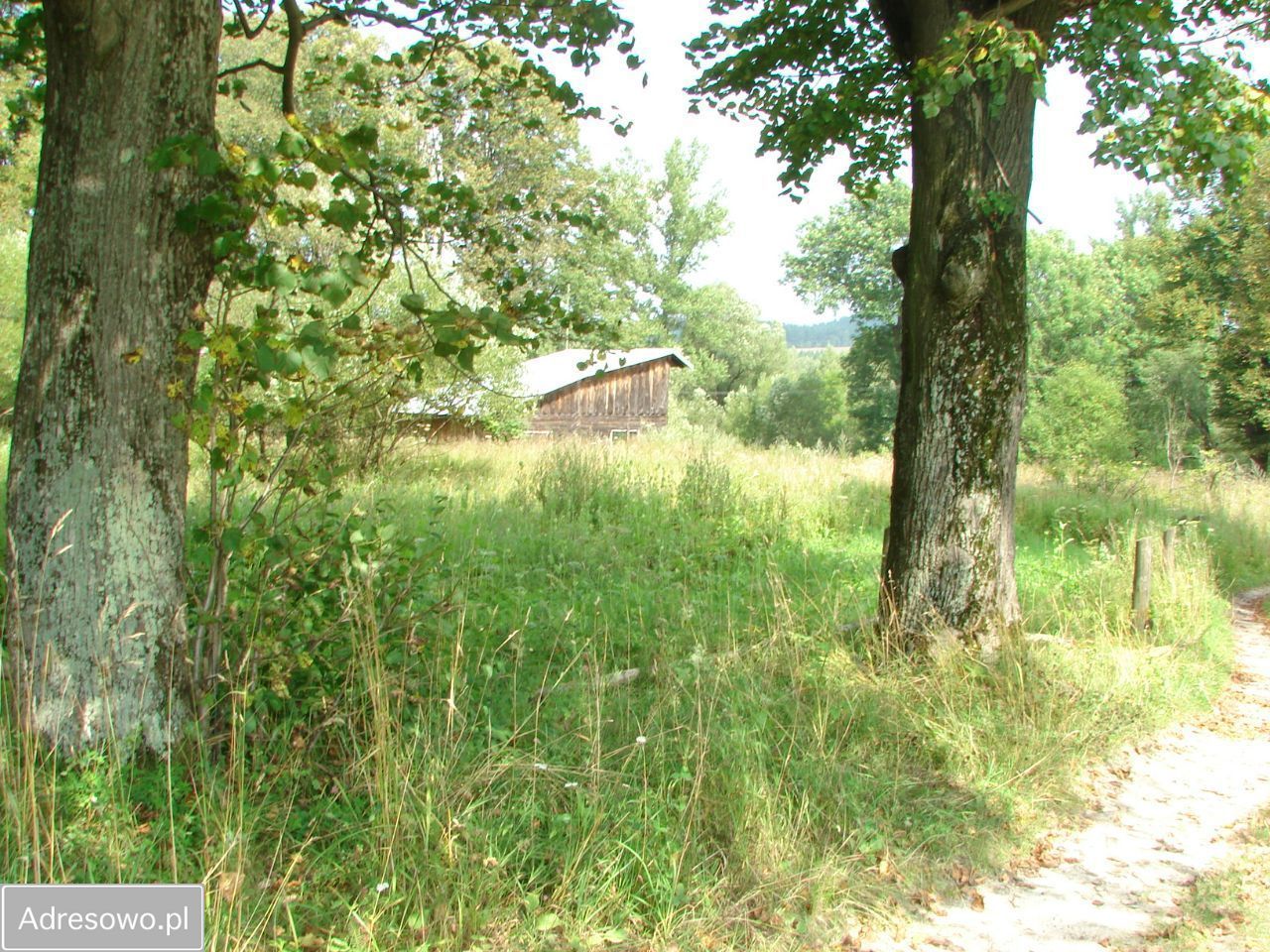 Działka Serednica. Zdjęcie 3