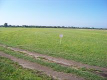 Działka rolna Tuchlin. Zdjęcie 2