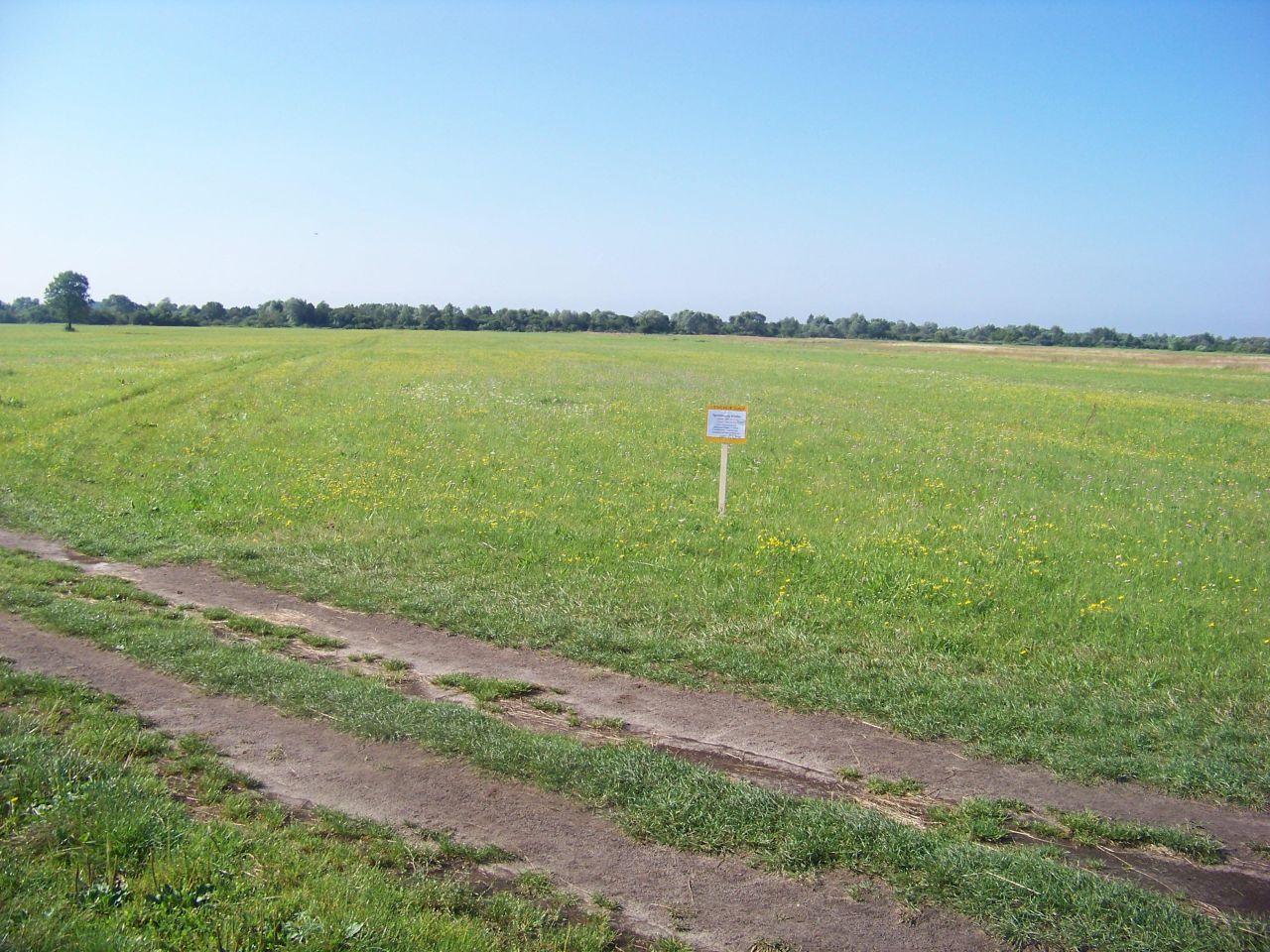 Działka rolna Tuchlin. Zdjęcie 3