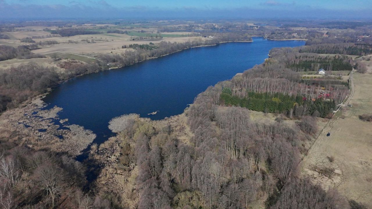 Działka rolna Rydzewo. Zdjęcie 6