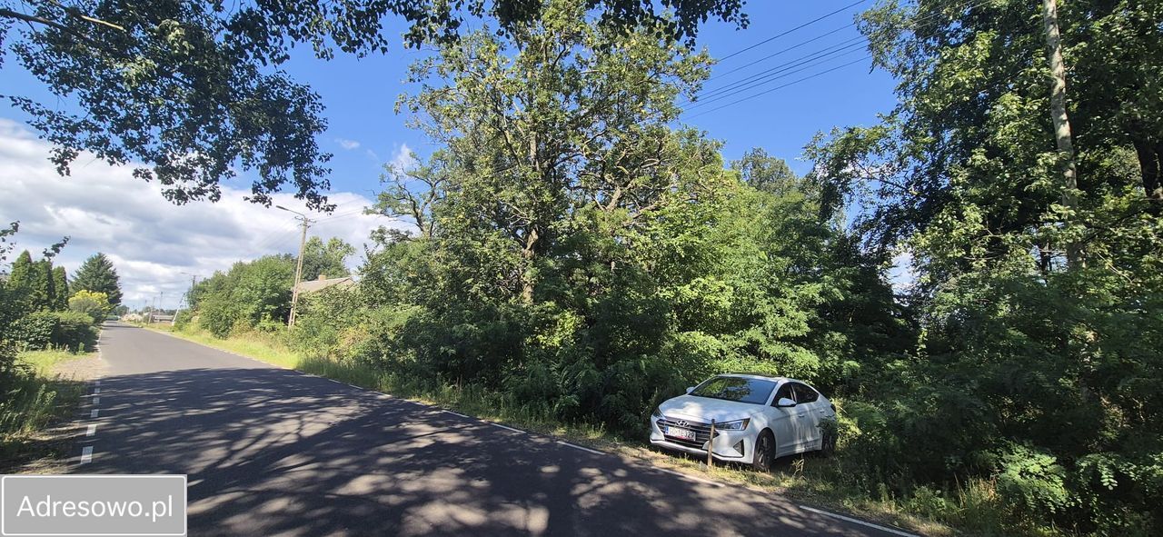 Działka rolno-budowlana Lekaszyn. Zdjęcie 5