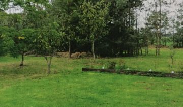 Działka rolno-budowlana Grzawa, ul. Zielonkówka